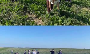 Трудовая практика в ОАО Сеньковщина 17.07.26